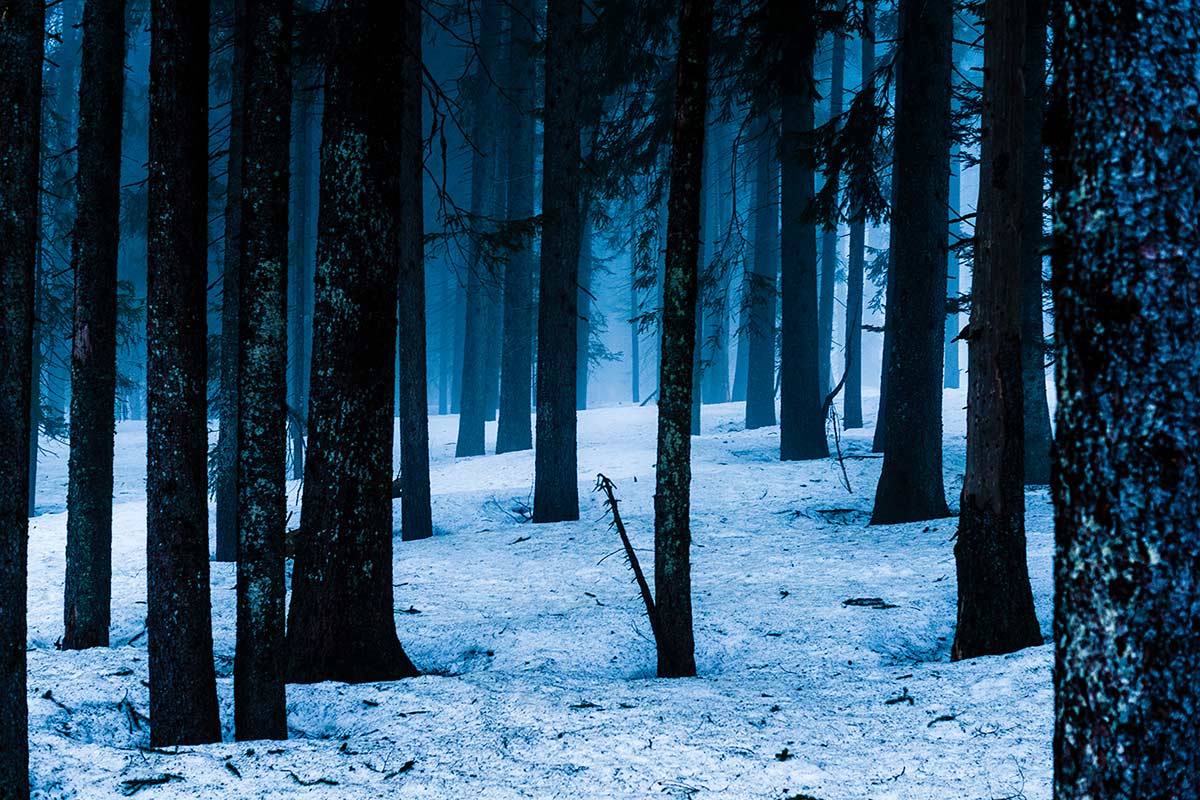 WaldBlau
